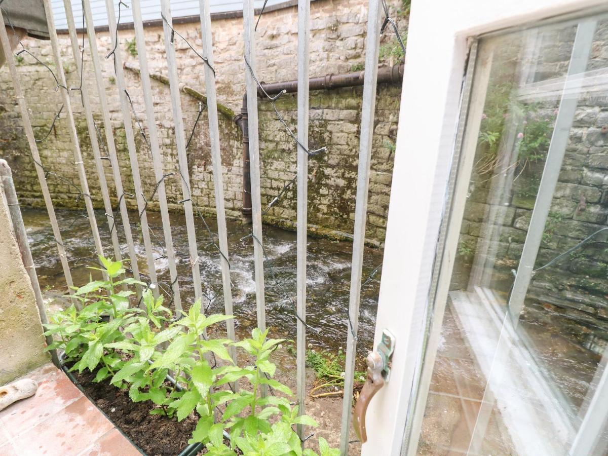 Riverdance Cottage Lyme Regis Eksteriør bilde
